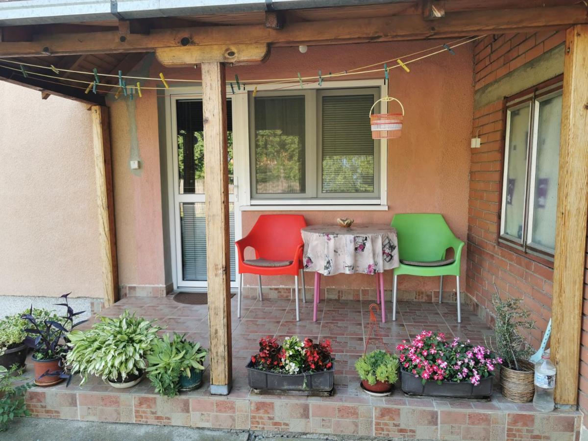 Apartments Domacinstvo Nikolic Valjevo Exteriör bild
