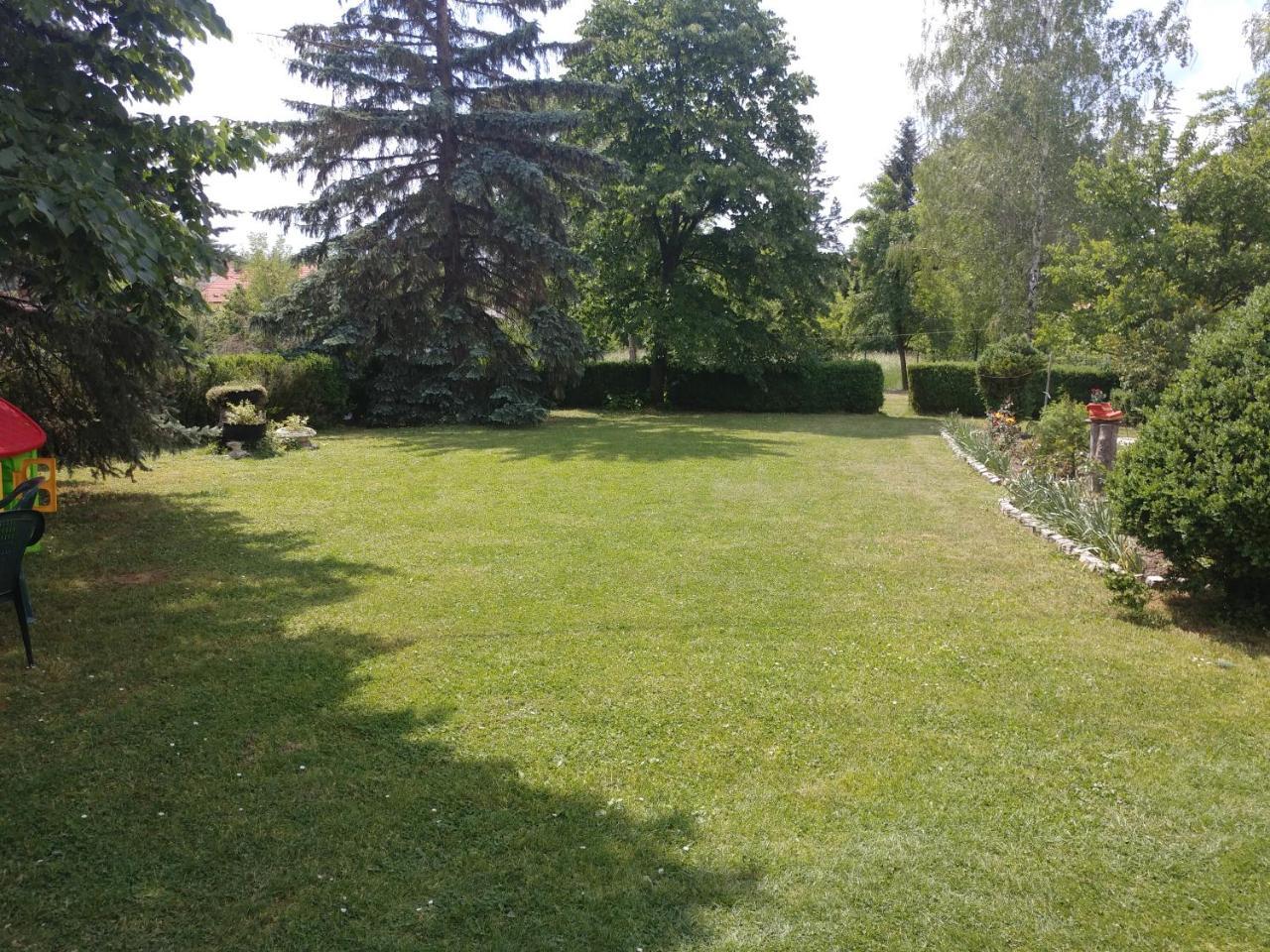 Apartments Domacinstvo Nikolic Valjevo Exteriör bild