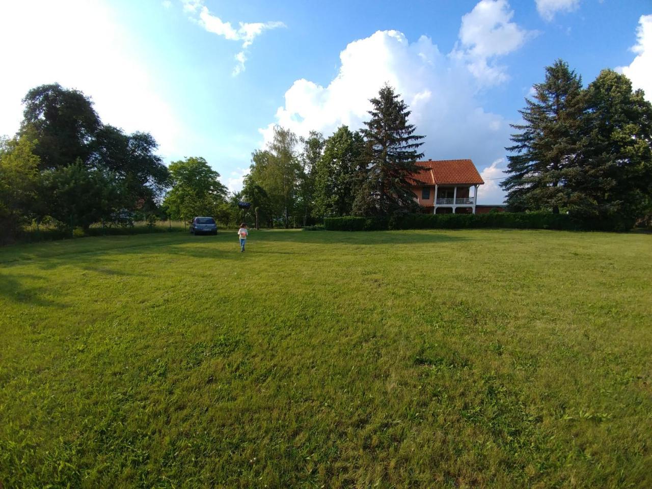 Apartments Domacinstvo Nikolic Valjevo Exteriör bild